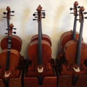 Group logo of Public Cello Group